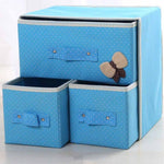 2 Layer Drawer Underwear Bra Handker Clothing Storage Box