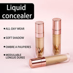 Miss Lara All Day Wear Multi Angle Repair Soft Shadow Liquid Concealer