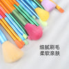 10 Pcs Multi Colors Face Brush Set