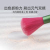 10 Pcs Multi Colors Face Brush Set