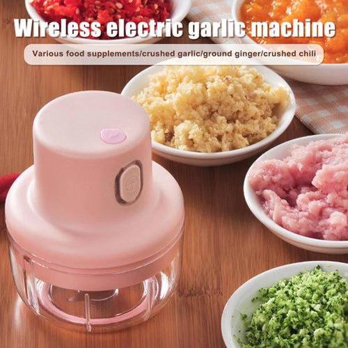 Rechargeable Powerful Mini Electric Food Garlic Chopper