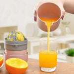 Mini Portable Manual Hand Press Juicer