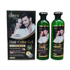 CHIRS'S Professional Hair Color Gel For Men &amp; Women With Argan Axtract - 500ml X 2 - Dark Brown