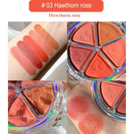 5 Colors Matte Blush Petal Eyeshadow Palette Pack of 2