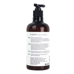 Augeas Olive Oil Moisturizing Shampoo 500ml