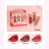 HengFang Silky Crayon Lip Gloss Glaze Matte Set Pack of 3