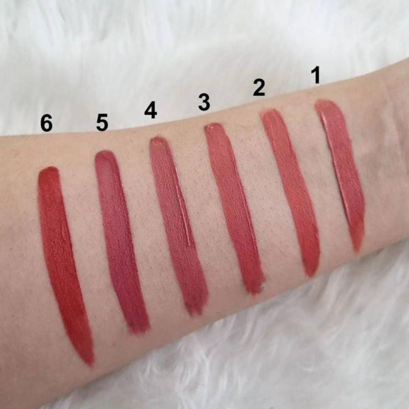 Tube Matte Lipstick 6pcs Lip Gloss Set