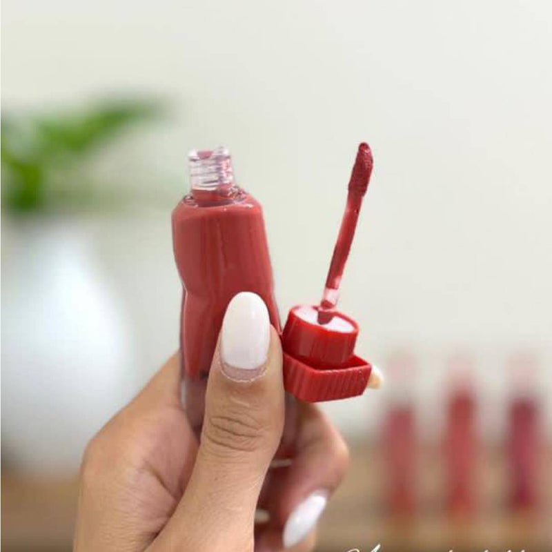 Tube Matte Lipstick 6pcs Lip Gloss Set