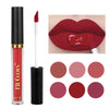 Fit Colors 6pcs Matte Lip Gloss Set