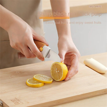 Multifunctional Stainless Steel 2in1 Fruit Knife And Peeler