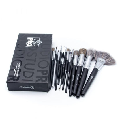 Studio Pro 13 Pieces Brush Set