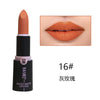 Dr Rashel Velvet Matte Lipstick