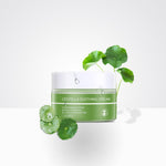 Skin Ever Centella Soothing Cream