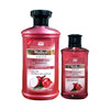 Wellice Onion Shampoo and Oil Deal