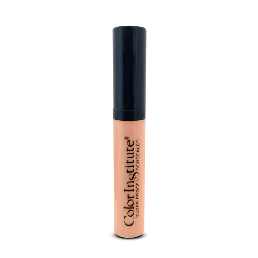 Color Institute Waterproof Hd Liquid Concealer