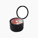 MISS ROSE PROFESSIONAL MAKEUP KIT