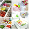 Fridge Basket - Multi Purpose Fruits And Vegetables Basket