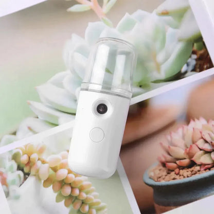 Portable Mini USB Face Humidifier Steamer Sprayer